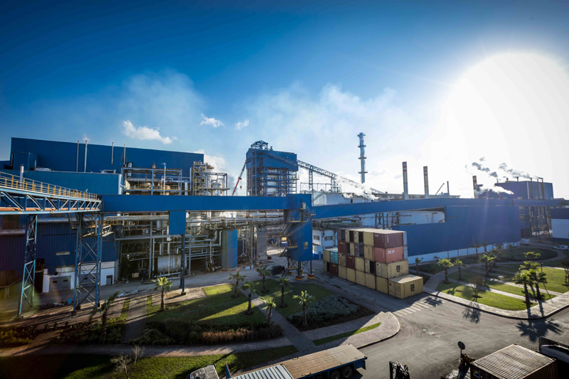 Cosumar se diversifie dans le CO₂ liquide alimentaire avec un projet de 500 MDH