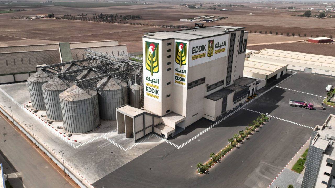 Africa Feed & Food lève 850 MDH pour accélérer sa croissance au Maroc et à l’international
